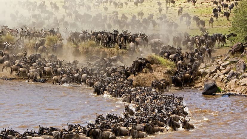 masai-mara-national-reserve