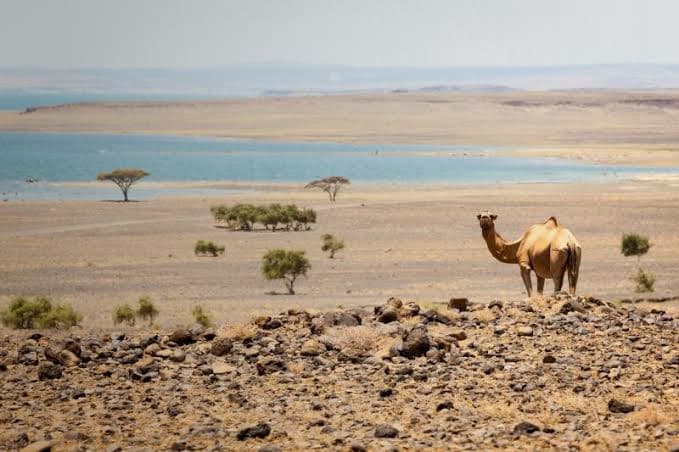 shaba-national-reserve