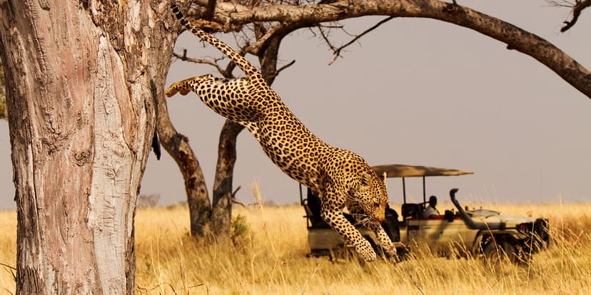 akagera-national-park