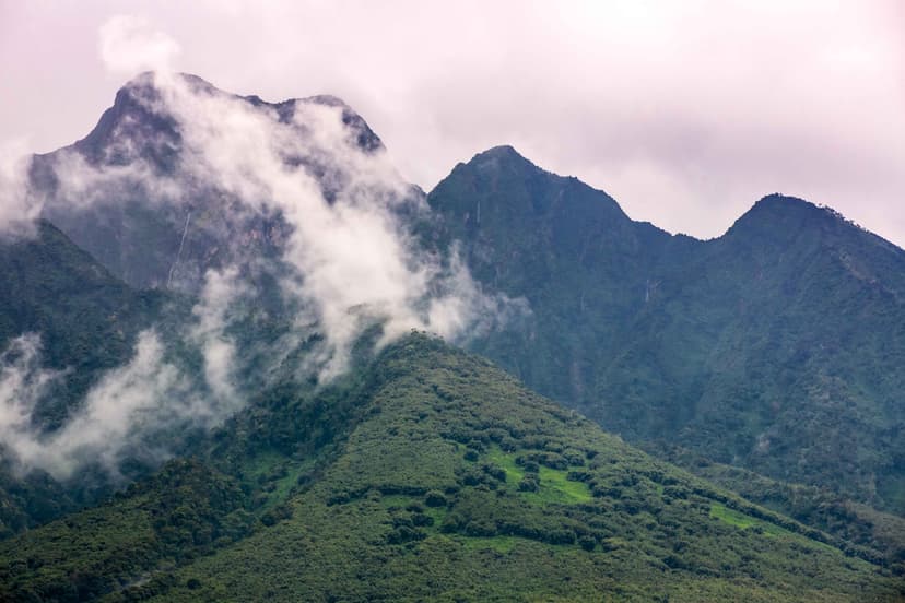 nyungwe-forest-national-park