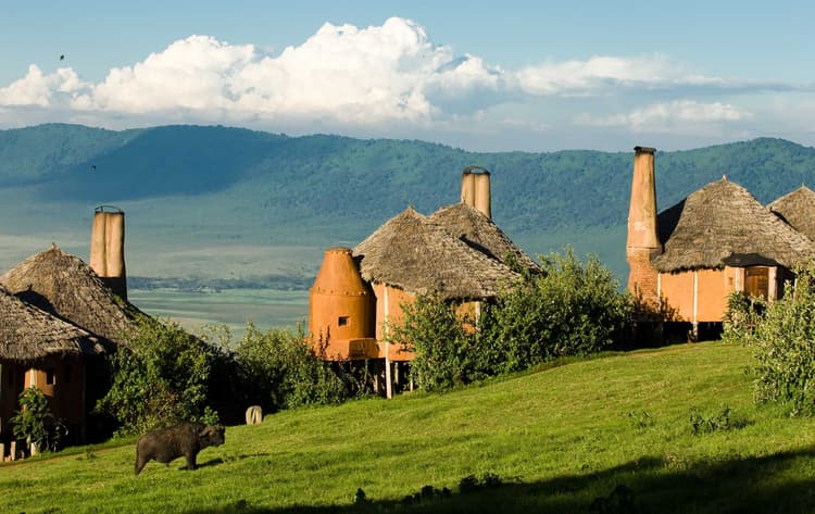 Ngorongoro C. Lodge