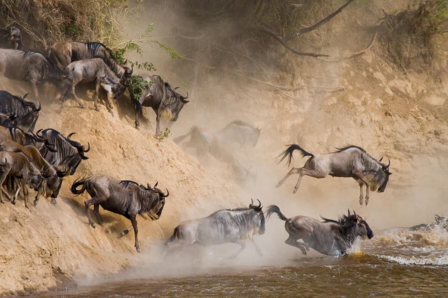 10 Days Kenya Great Migration Safari