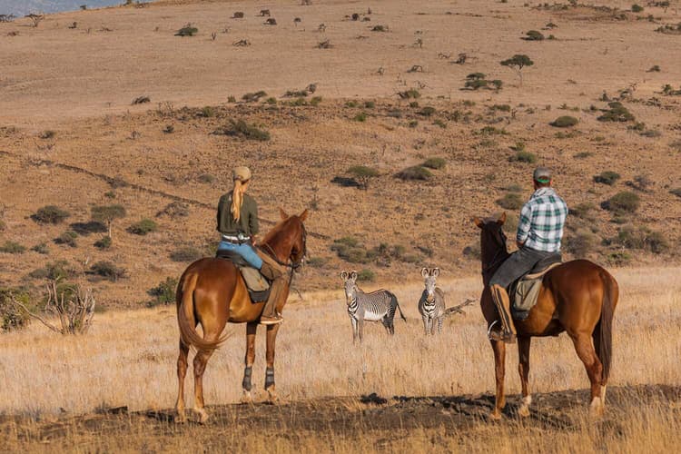 Exclusive Wildlife Encounters.