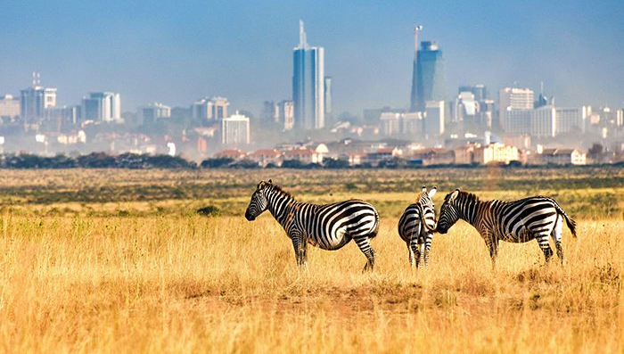 This Is The Heartbeat of African Safaris.