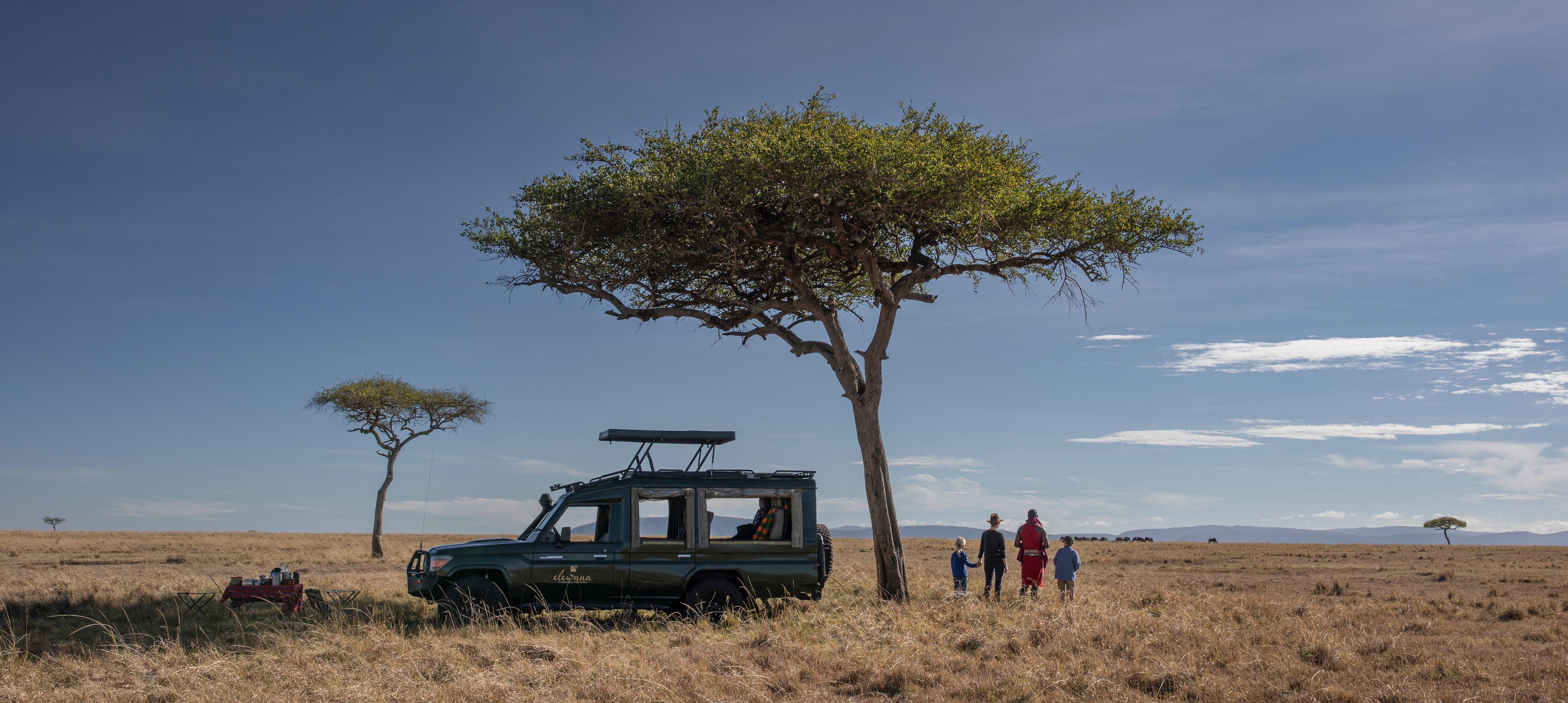 Savara Luxe Safaris Request Brochure