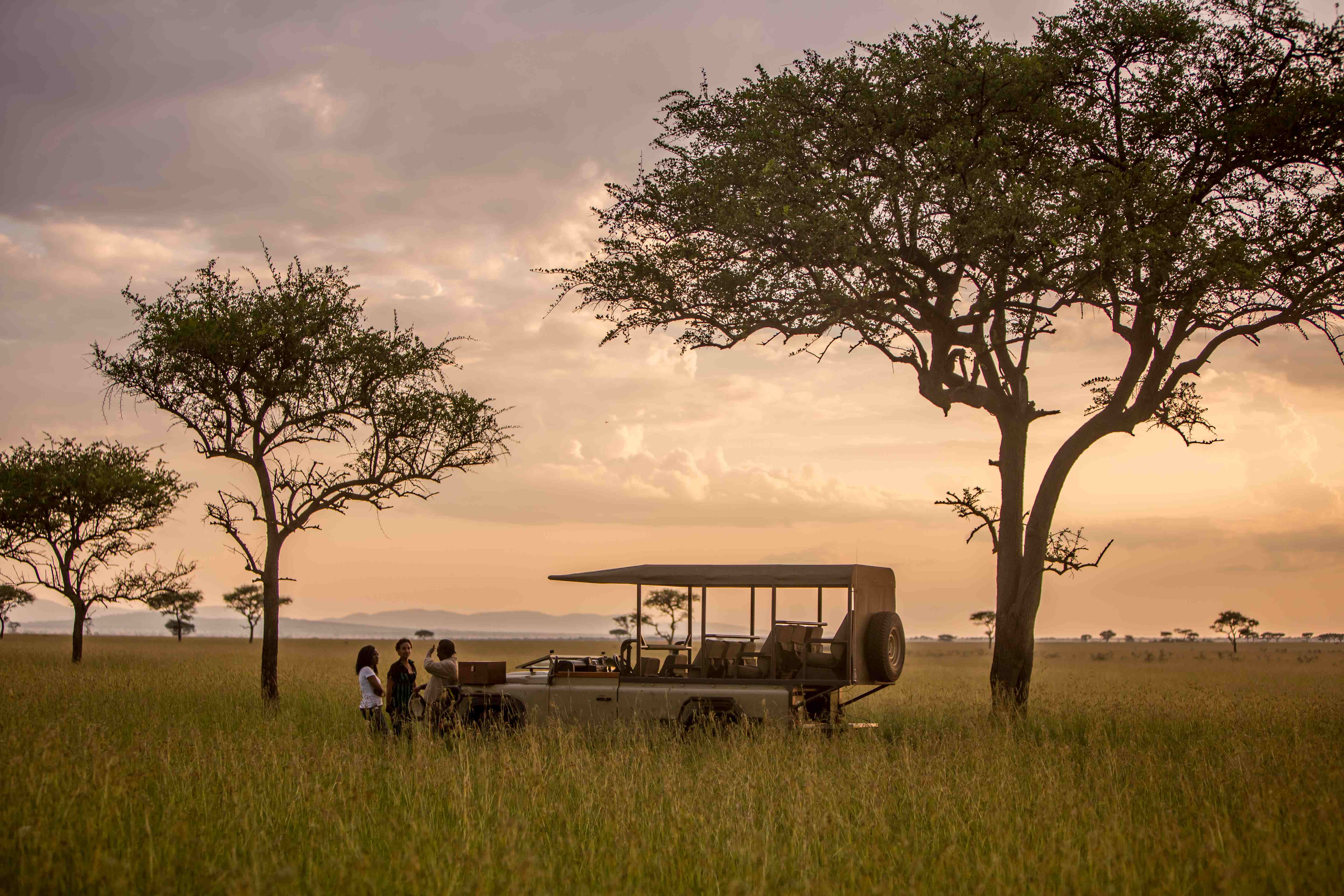 Savara Luxe Safaris Classic Safaris