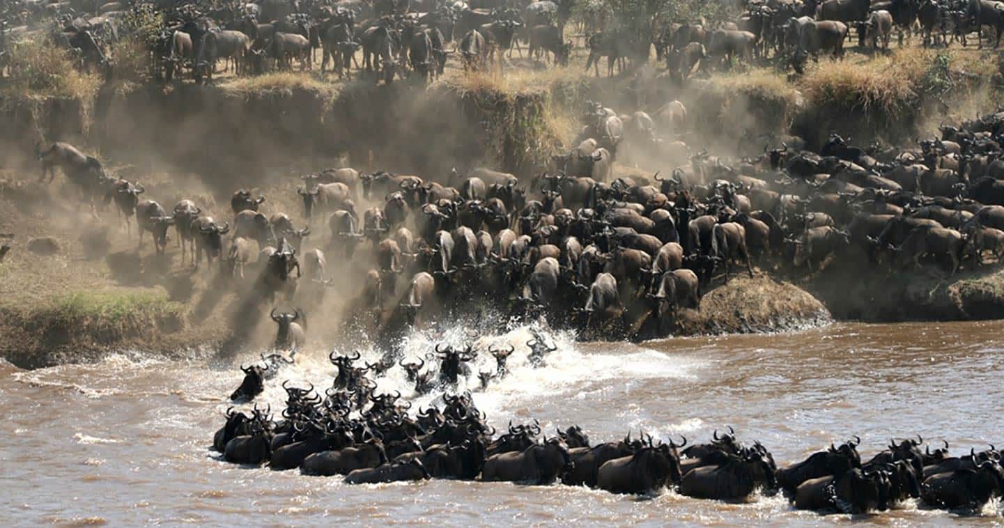 kenya-tanzania