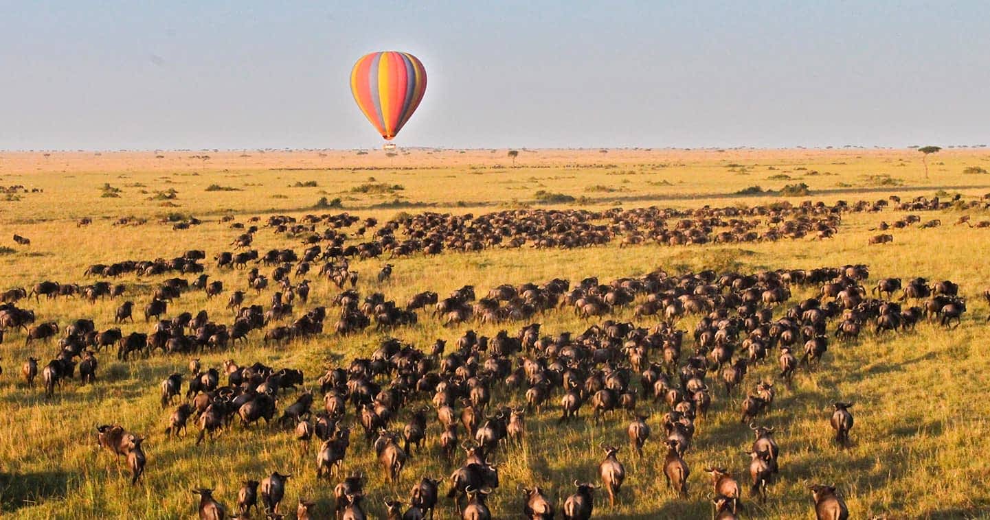 kenya
