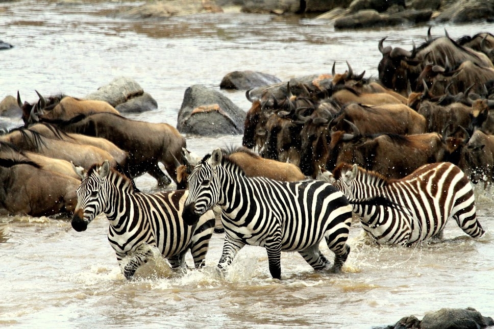 tanzania
