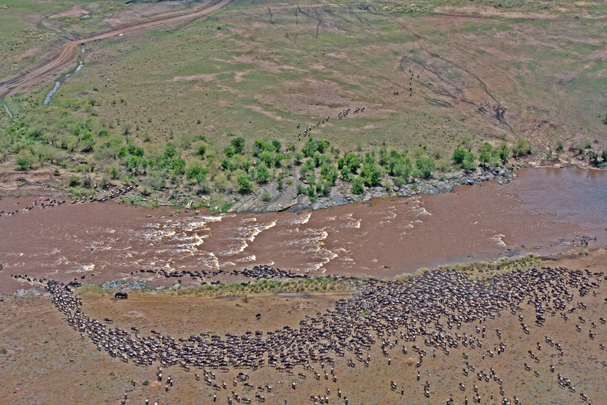 tanzania