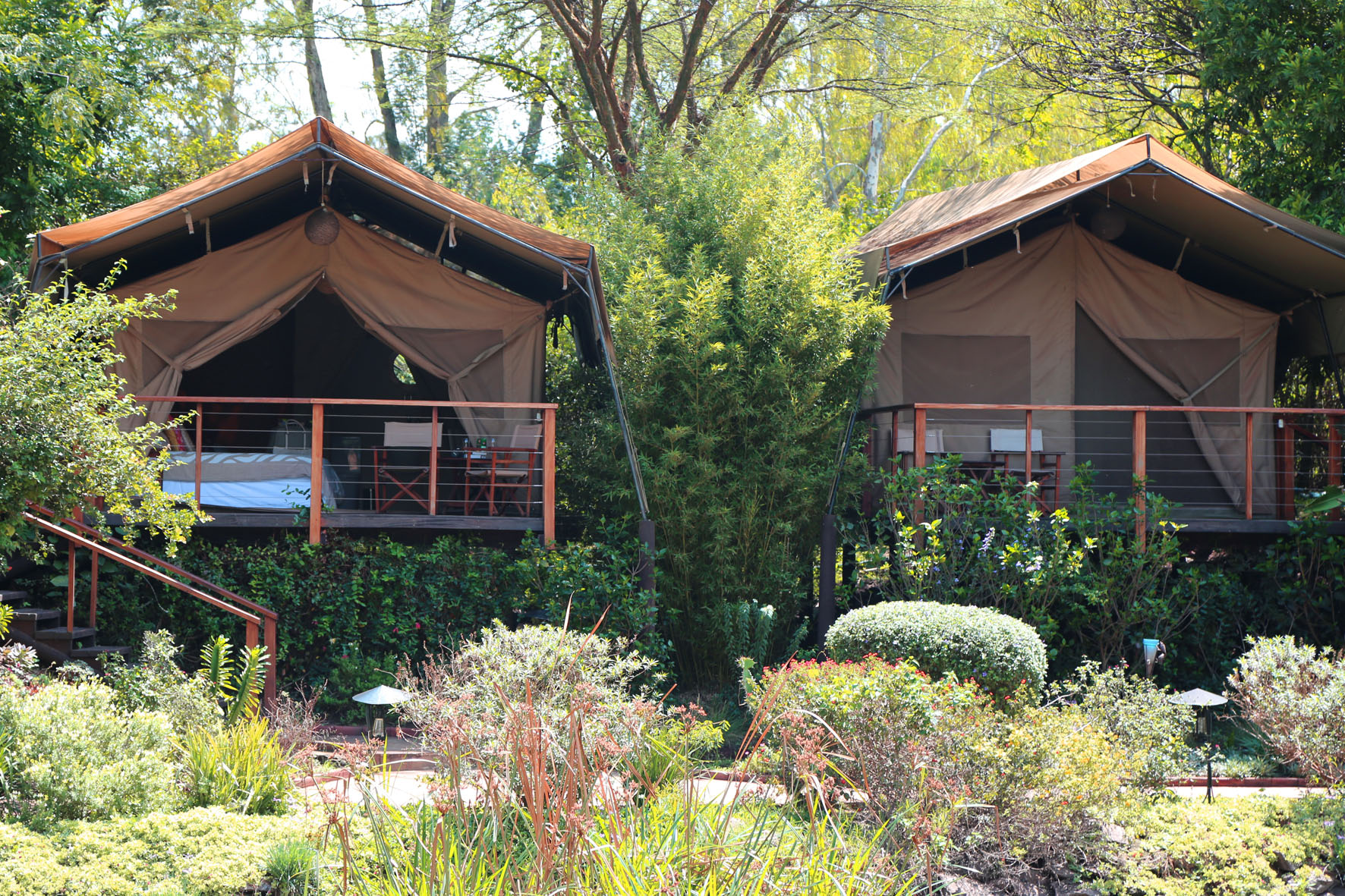 Savara Luxe Safaris Contact us
