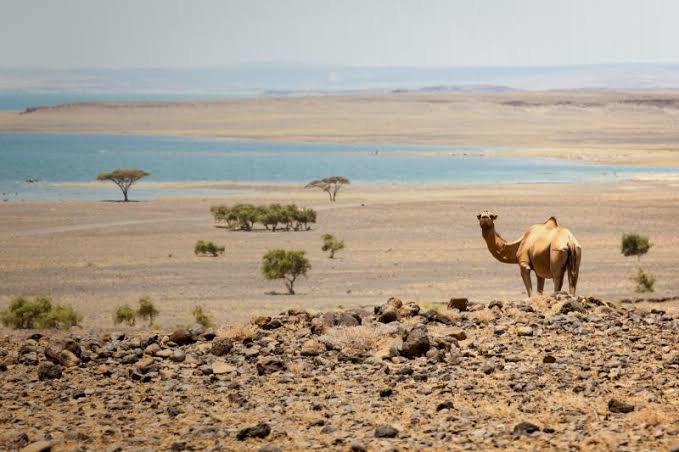 Kenya Destinations