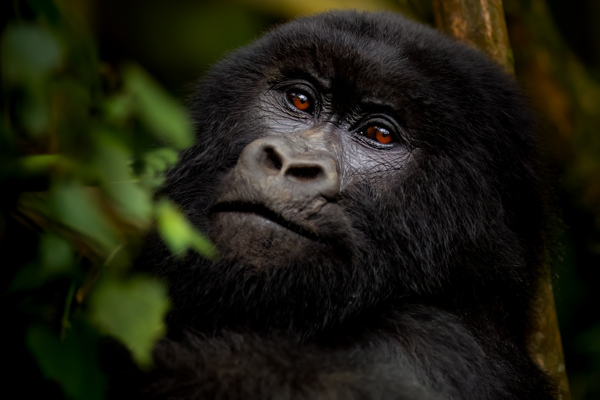 Rwanda Destinations