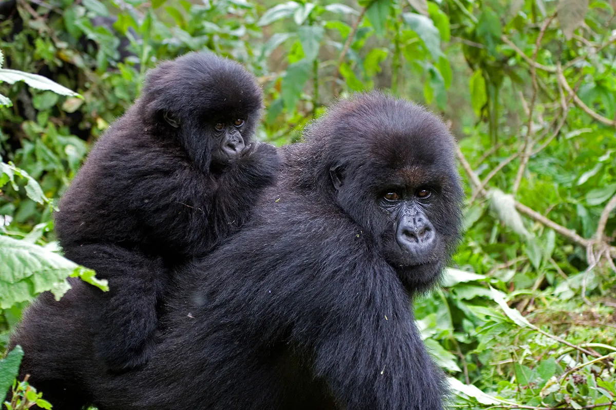 Uganda Destinations
