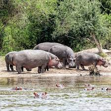 Uganda Destinations