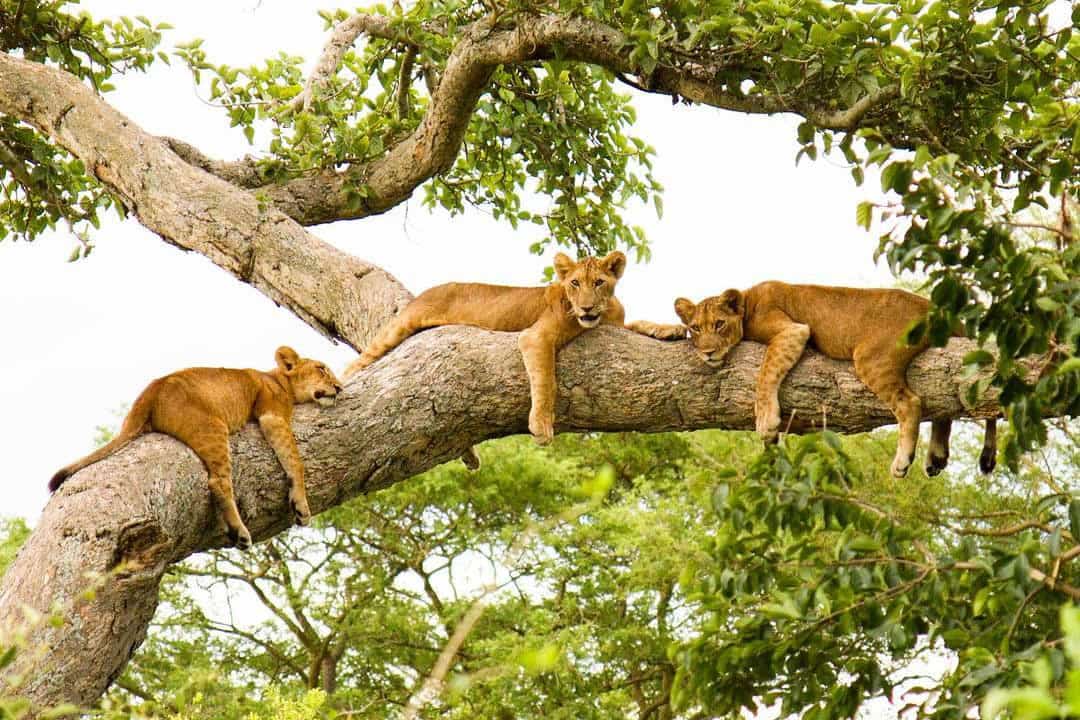 Uganda Destinations