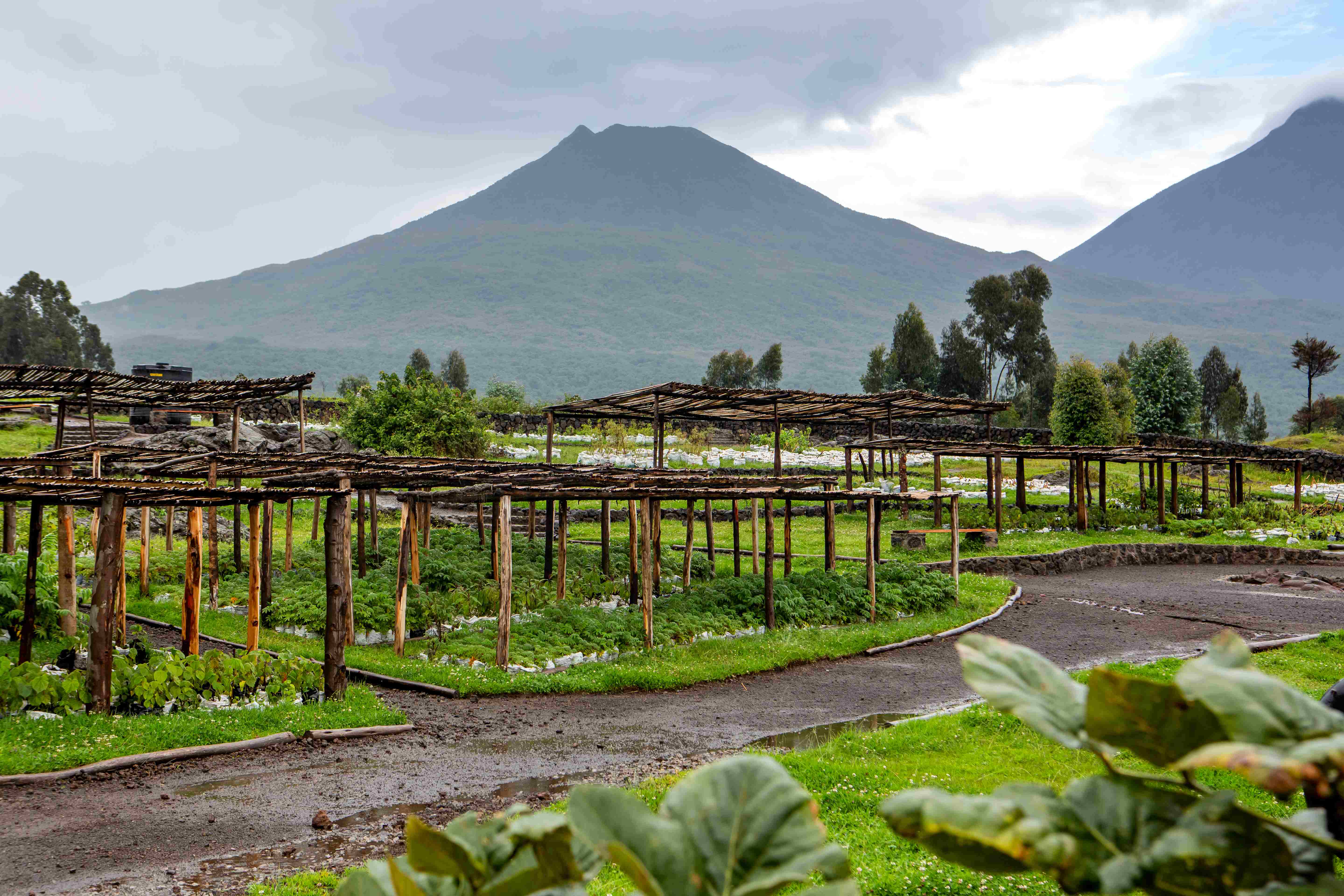 Volcanoes national park Destinations