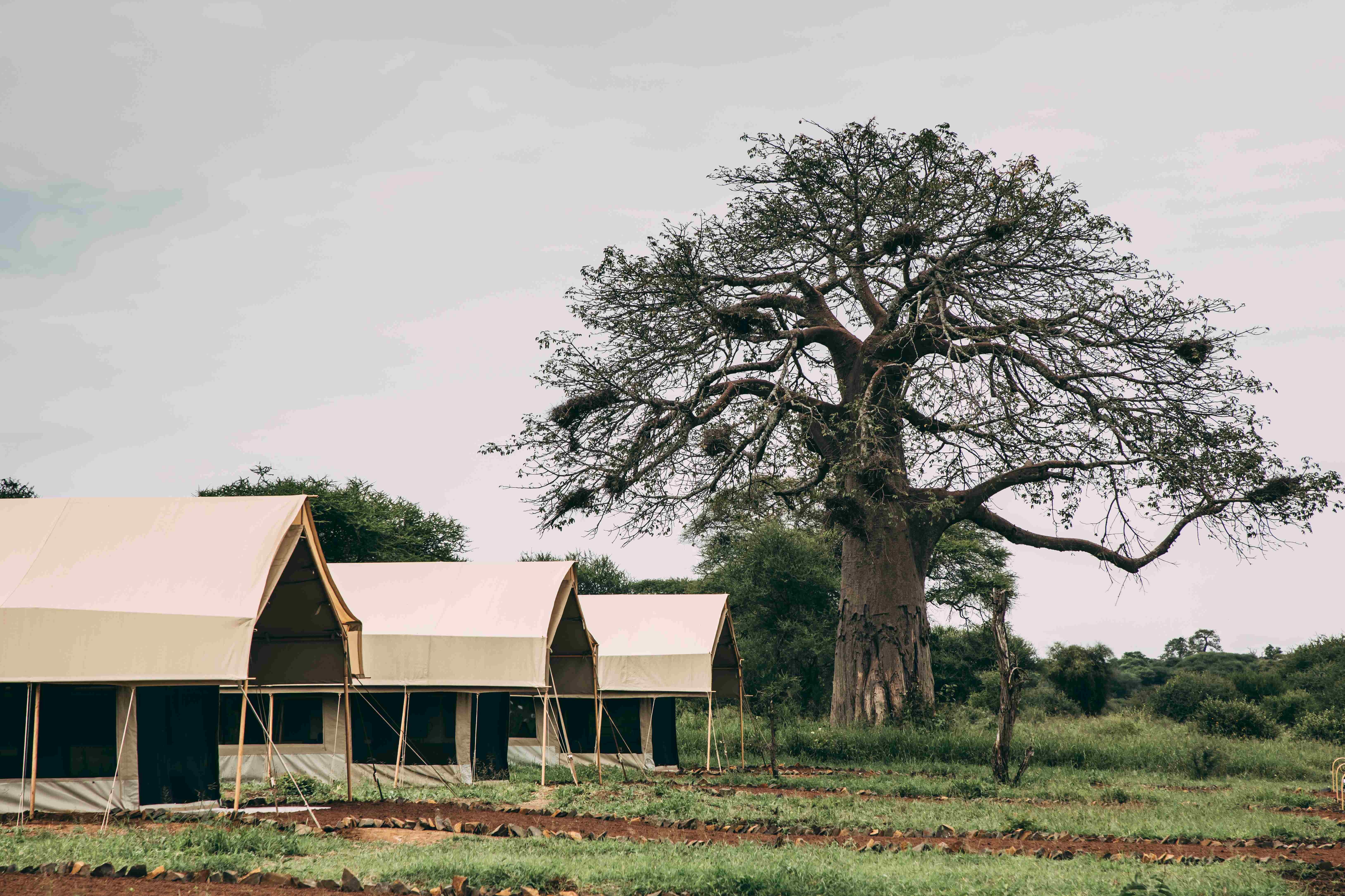 Tarangire Destinations