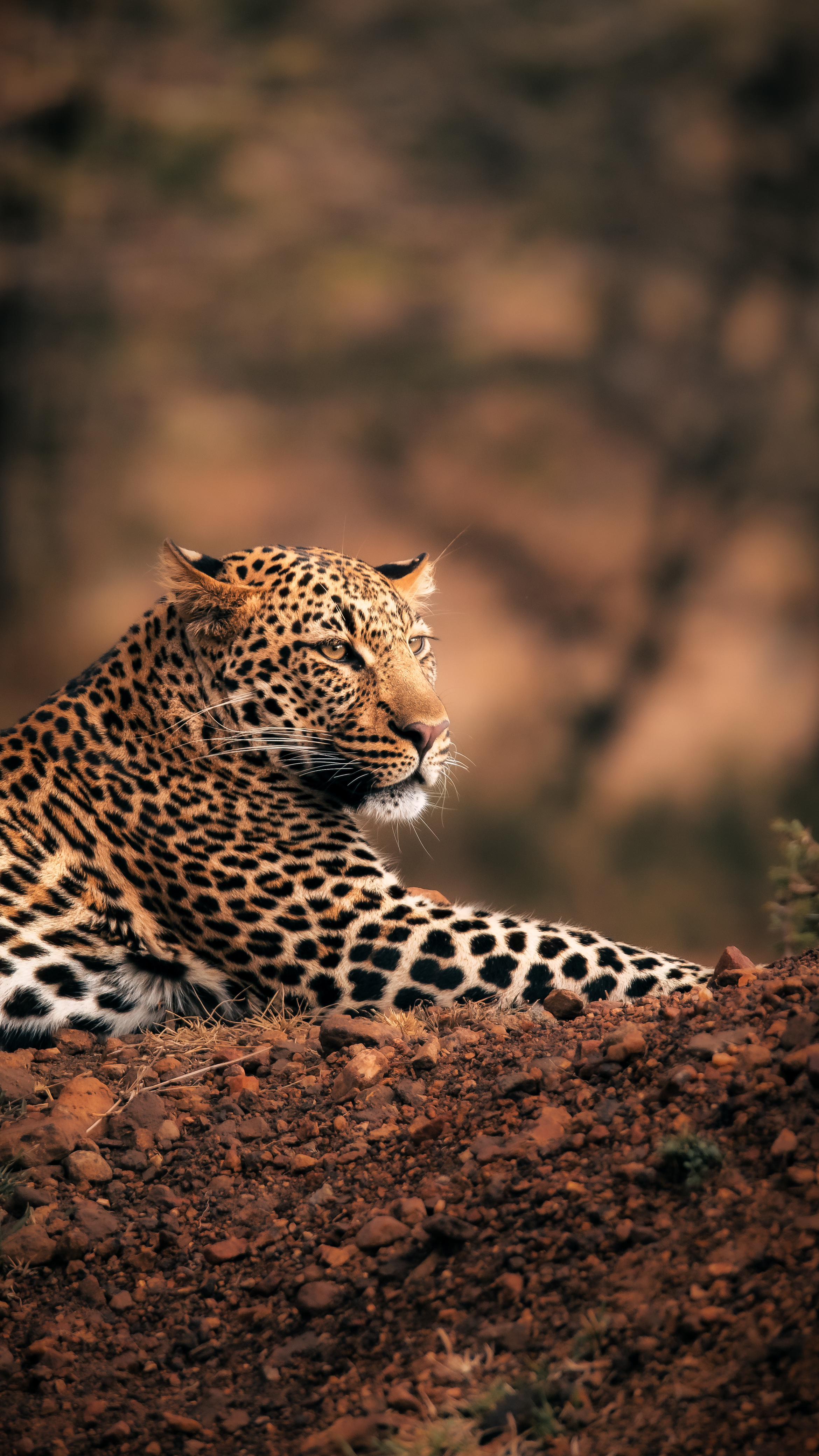 13 Days Tanzania Photographer Safari